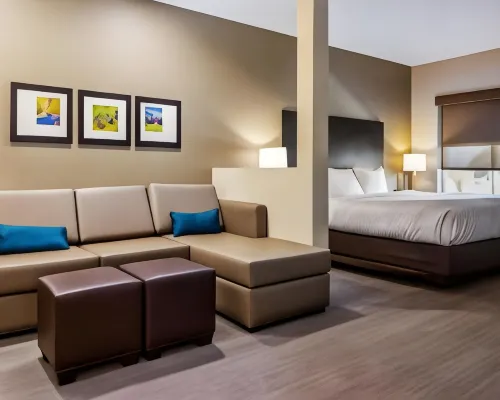 Comfort Suites Wooster Near University Campus Hotels in Wayne County