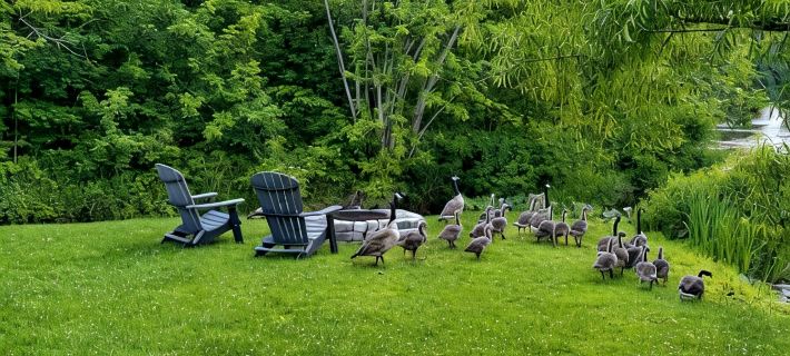 Waterfront Cottage with Hot Tub, & Fire Pit. Pet Friendly. Hotels in Union County