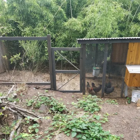 SW Eugene Hills Retreat