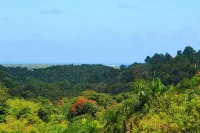 A Slice of the Rainforest! Near El Yunque and Beaches, Rio Grande Puerto Rico - 2-Star