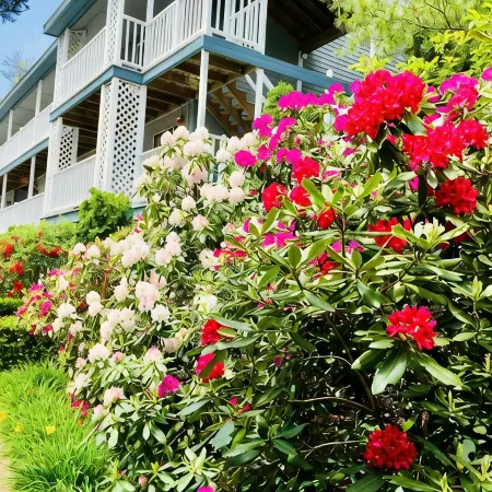 Quaint Ogunquit Condo 5 Min.Walk To Perkins Cove & Marginal Way