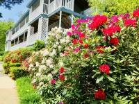 Quaint Ogunquit Condo 5 Min.Walk To Perkins Cove & Marginal Way - Homestays