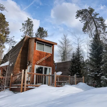 Cabin in Breckenridge  - Walk to Main Street & Peak 9 Lifts