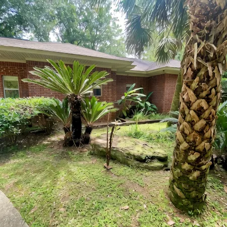 Oasis in Daphne