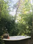 On a 40 acre estate, outdoor soaking tub,  fire pit, hammocks, pet friendly! - Wi-Fi