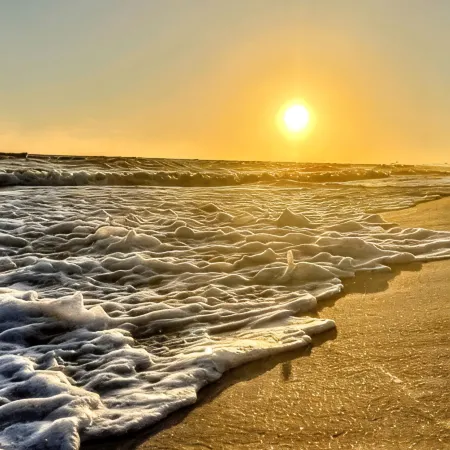 Park Ave Condo close to OWA and Alabama Beaches