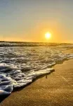 Park Ave Condo close to OWA and Alabama Beaches - 3-Star
