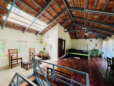 Studio Figtree by Evaddo