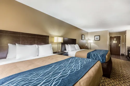 Comfort Inn & Suites Crystal Inn Sportsplex - 2-Star