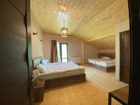 Hotel Axien Kazbegi - Cheap