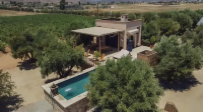 Alma Liebre Viñedos del Valle