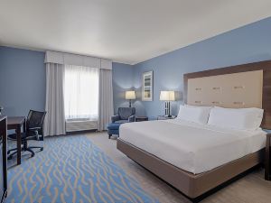 ホリデイ イン エクスプレス & スイーツ エドワーズビル  IHG ホテル