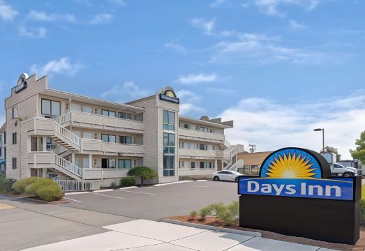 5. 데이즈 인 바이..