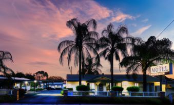 a tropical sunset with palm trees and a white building , captured from the perspective of the sunset at Oasis Motel