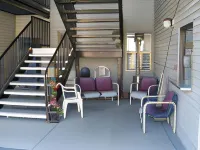 Little Bear Motel