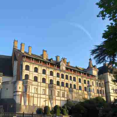 Logis Hôtel Louise de Savoie Hotel Exterior