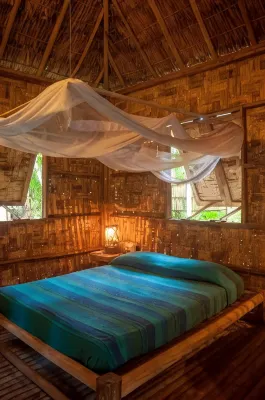 The Forest Elephant - Formerly Known As the Flying Elephant Hotel a 