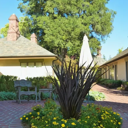 Vineyard Country Inn