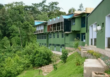 Chimpanzee Lodge