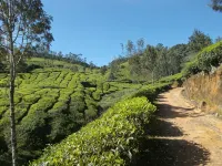 Greenview Holiday Inn