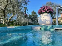 CorteViva Boutique B&B - Pool
