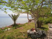Alonaki Seafront Cottage