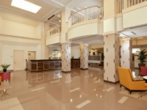 Hilton Grand Vacations Club Flamingo Las Vegas Hotels in Paradise