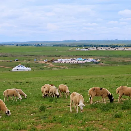Amani Bread & Ger · Mongol Ger Guesthouse (Xilamuren Grassland)