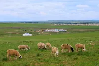 Amani Bread & Ger · Mongol Ger Guesthouse (Xilamuren Grassland)