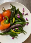 The Eagle's Nest: Experience Arizona Agritourism