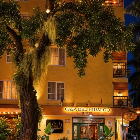 Hotel Boutique Casa del Hidalgo