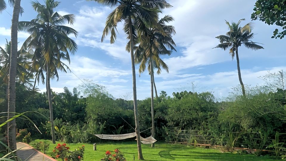 Amara Ayurveda Retreat