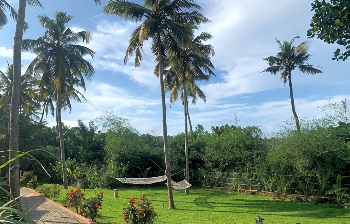 Amara Ayurveda Retreat