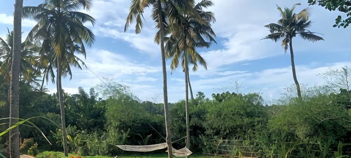 Amara Ayurveda Retreat Ξενοδοχεία στην πόλη Kovalam