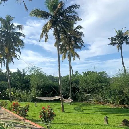 Amara Ayurveda Retreat