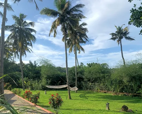 Amara Ayurveda Retreat Hotels in Kovalam