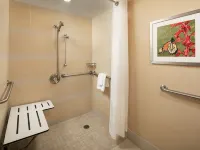 Holiday Inn AUSTIN-TOWN LAKE by IHG Hotels in Travis County
