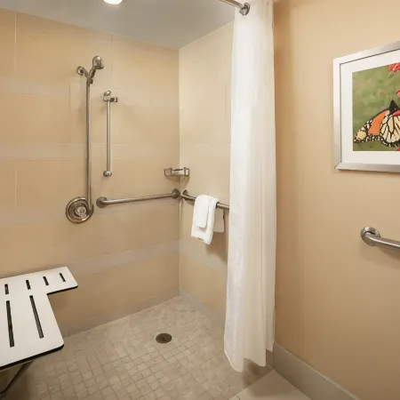 Holiday Inn AUSTIN-TOWN LAKE by IHG