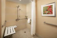 Holiday Inn AUSTIN-TOWN LAKE by IHG