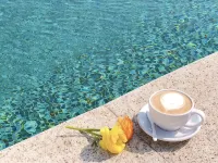 Qiyue Bei'an Guesthouse - Kolam Infiniti