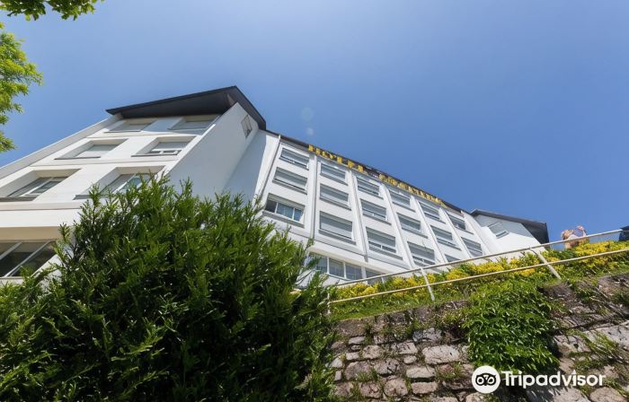 Hotel Avenida