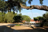 Quinta Dos Anjos - Vila