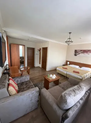 Vizavi Hotel Отели в г. 