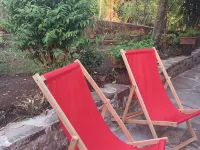 Cozy apartment nestled in the hills of Chianti Hotels in Rufina