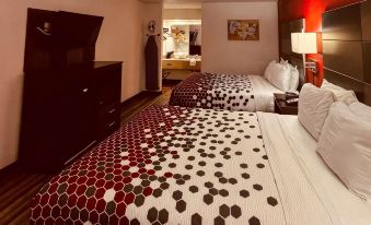 Econo Lodge Inn & Suites Downtown San Antonio Riverwalk Area