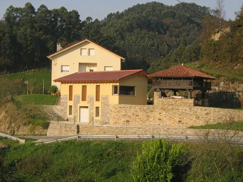 Beautiful views of the green nature from the inside Asturiana