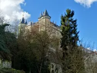 Large apartment between Loire and Château - Apartments