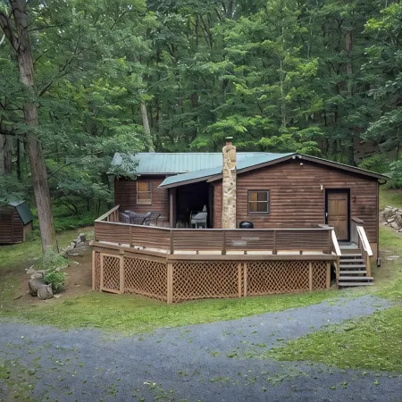 3BR Cabin Getaway: Hike & Swim Nearby! Modern, dog-friendly, wi-fi + king suite