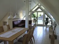 Comfort - Apartment - Apartments