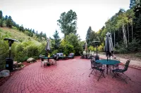 The Williamsburg Cottage at Valley Glen...your romantic mountain getaway - Homestays
